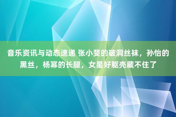 音乐资讯与动态速递 张小斐的破洞丝袜，孙怡的黑丝，杨幂的长腿，女星好躯壳藏不住了