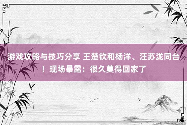 游戏攻略与技巧分享 王楚钦和杨洋、汪苏泷同台！现场暴露：很久莫得回家了