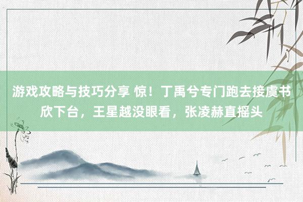 游戏攻略与技巧分享 惊！丁禹兮专门跑去接虞书欣下台，王星越没眼看，张凌赫直摇头