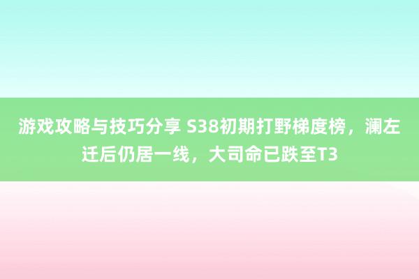 游戏攻略与技巧分享 S38初期打野梯度榜，澜左迁后仍居一线，大司命已跌至T3