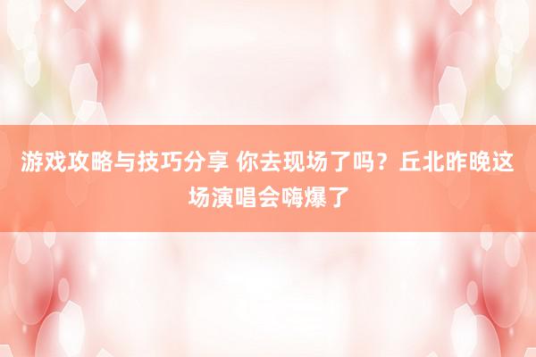 游戏攻略与技巧分享 你去现场了吗？丘北昨晚这场演唱会嗨爆了