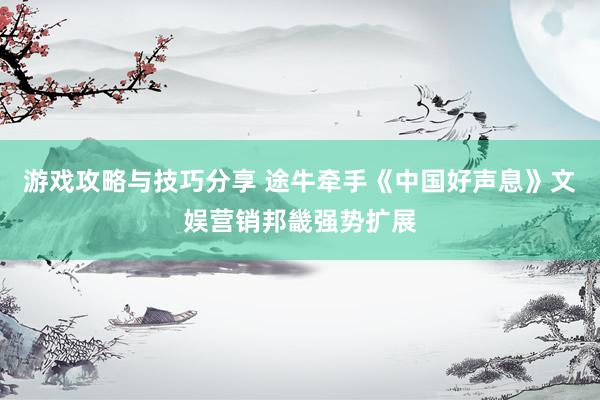 游戏攻略与技巧分享 途牛牵手《中国好声息》文娱营销邦畿强势扩展