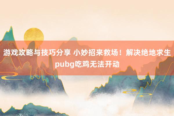 游戏攻略与技巧分享 小妙招来救场！解决绝地求生pubg吃鸡无法开动