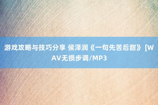 游戏攻略与技巧分享 侯泽润《一句先苦后甜》 [WAV无损步调/MP3