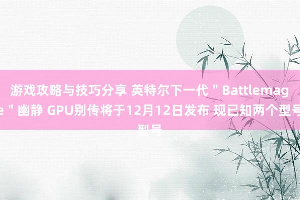 游戏攻略与技巧分享 英特尔下一代＂Battlemage＂幽静 GPU别传将于12月12日发布 现已知两个型号